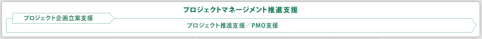 プロジェクトマネージメント推進支援