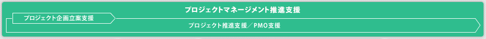 プロジェクトマネージメント推進支援