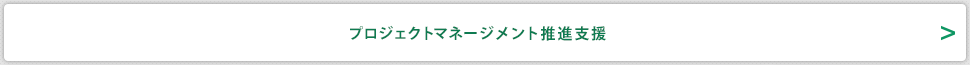 プロジェクトマネージメント推進支援