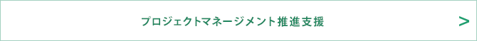 プロジェクト・マネージメント推進支援