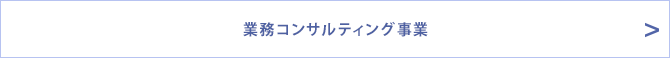 業務コンサルティング事業